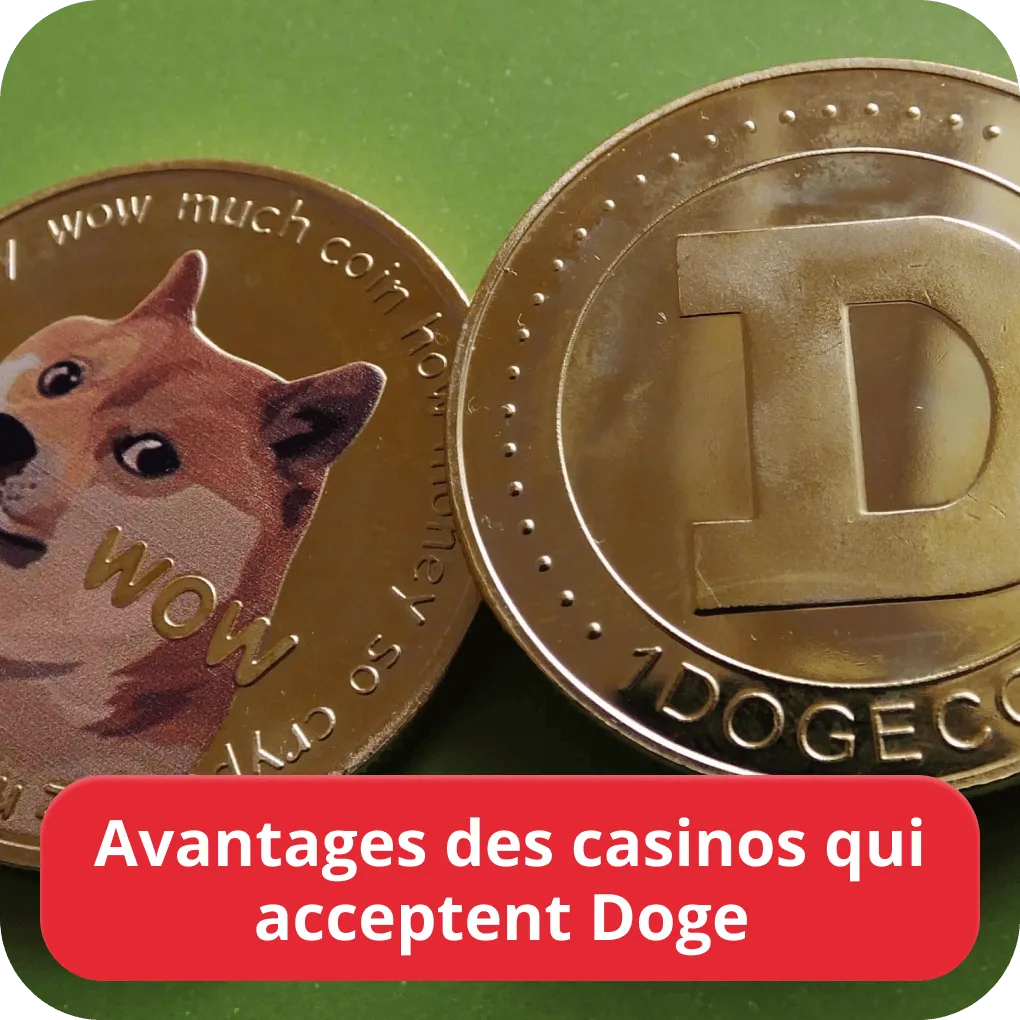 Casinos acceptant le Dogecoin